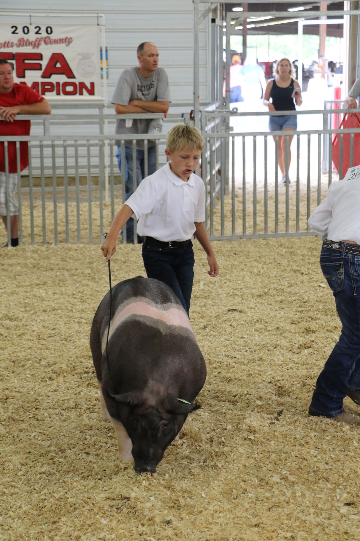 PHOTOS: Pig Showmanship